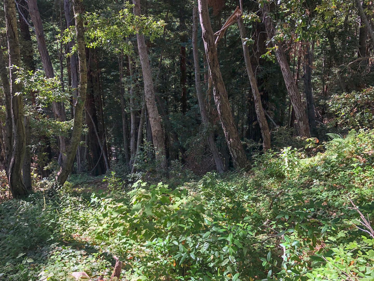 0 Garrapatos Road, CARMEL, California 93923, ,Lots And Land,For Sale,Garrapatos Road,40965614
