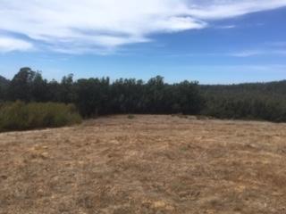 00 Cannon Road, AROMAS, California 95004, ,Lots And Land,For Sale,Cannon Road,40964847