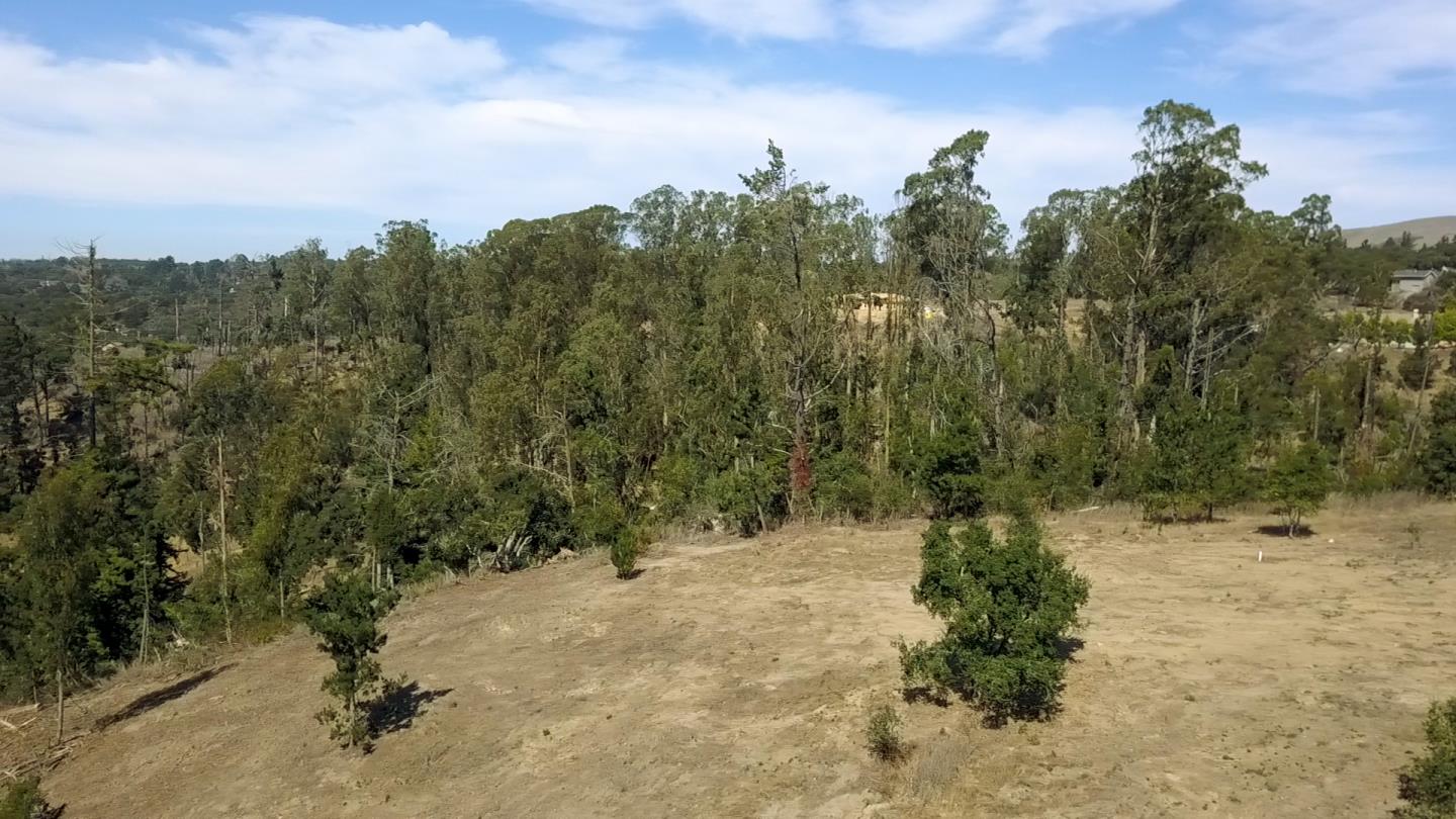 8571 Donnys Ridge Road, SALINAS, California 93907, ,Lots And Land,For Sale,Donnys Ridge Road,40963800