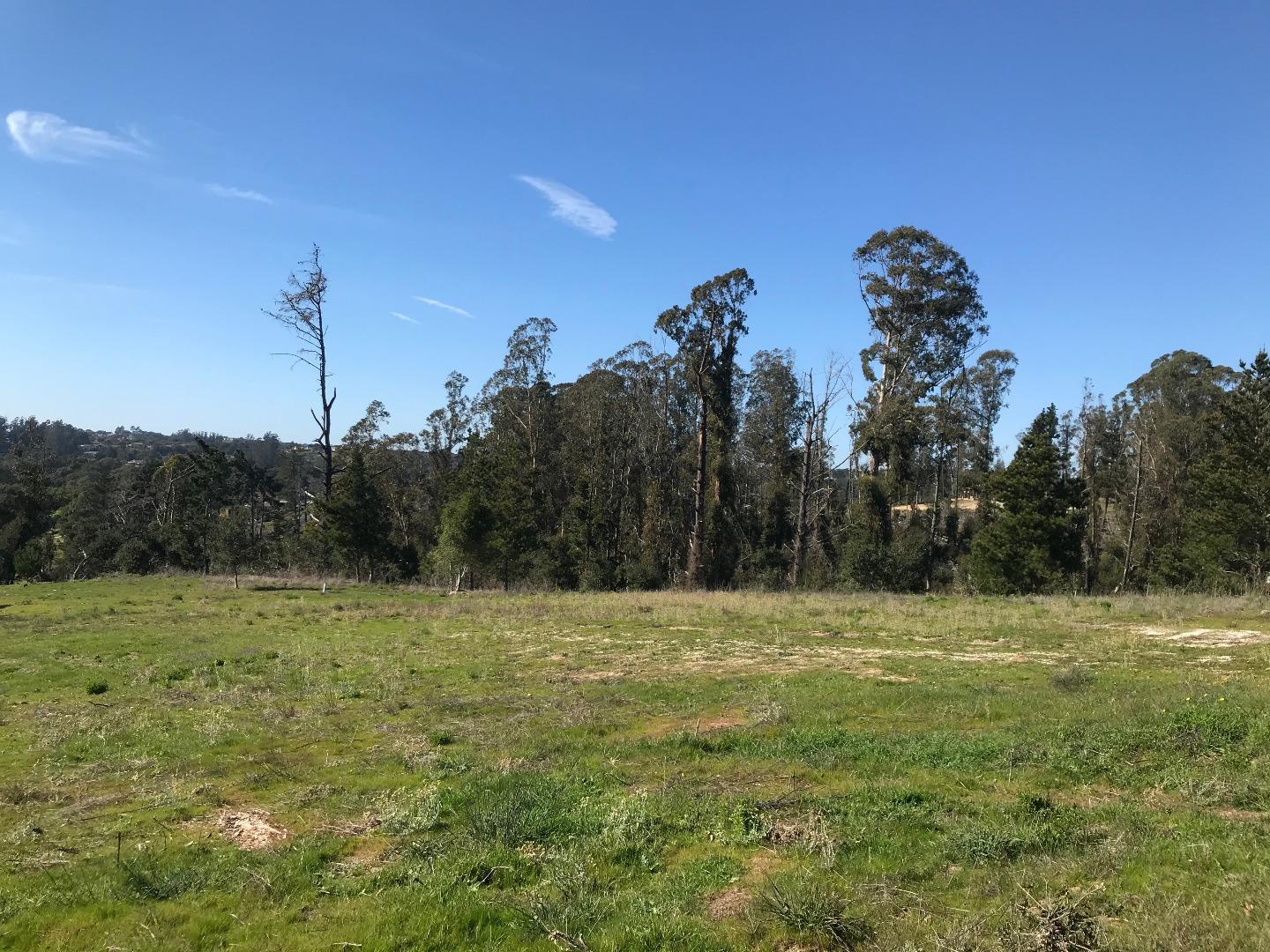 8571 Donnys Ridge Road, SALINAS, California 93907, ,Lots And Land,For Sale,Donnys Ridge Road,40963800