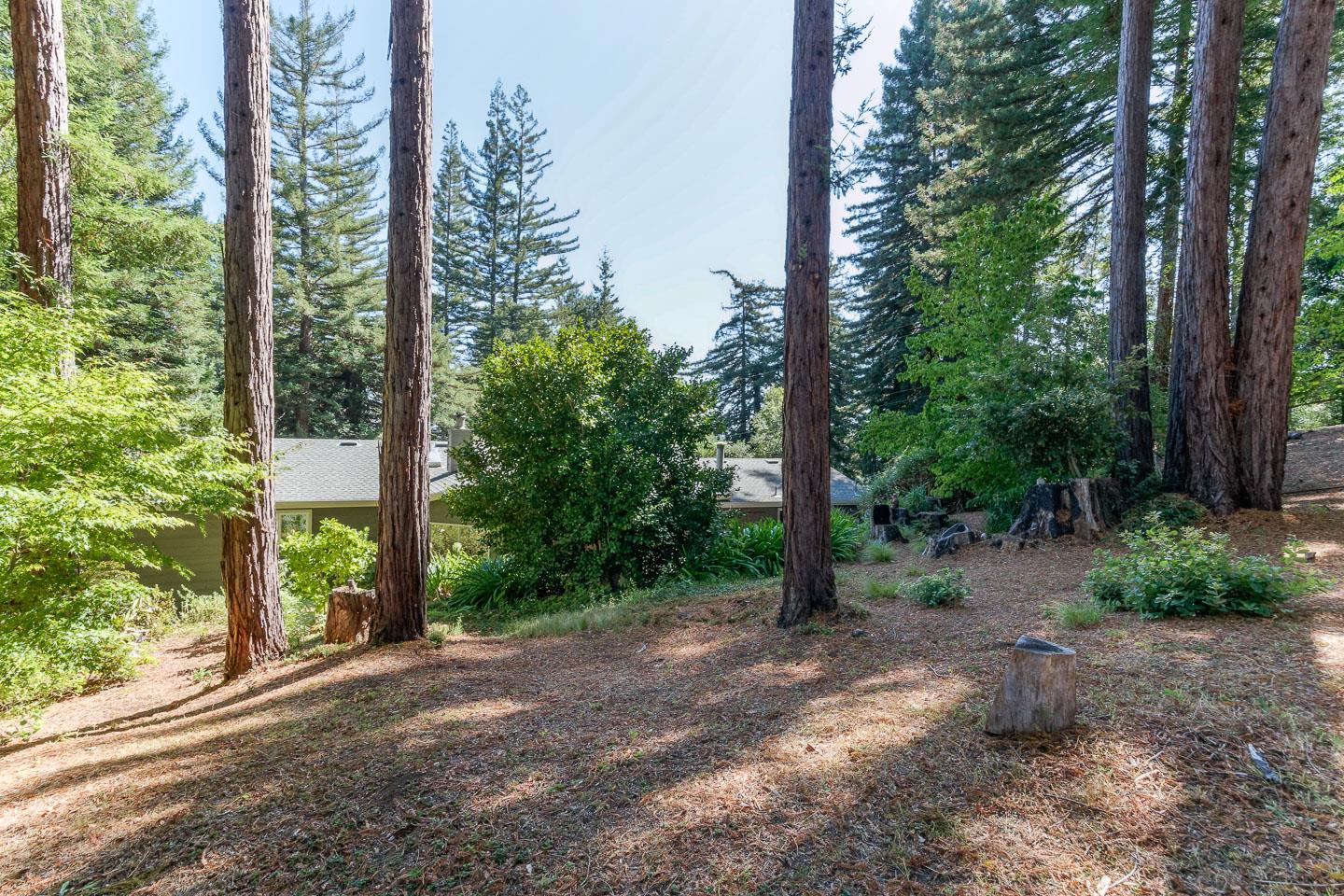 1230 El Solyo Heights Drive Felton Ca 95018 998 000 Mls