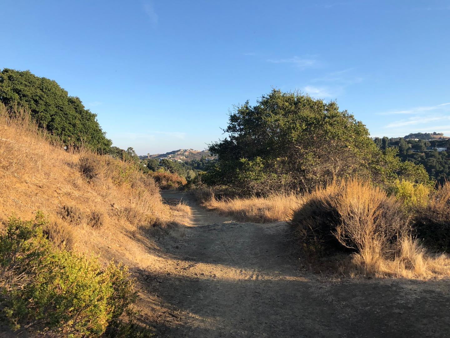 000 Monte Cresta Drive, BELMONT, California 94002, ,Lots And Land,For Sale,Monte Cresta Drive,40967393