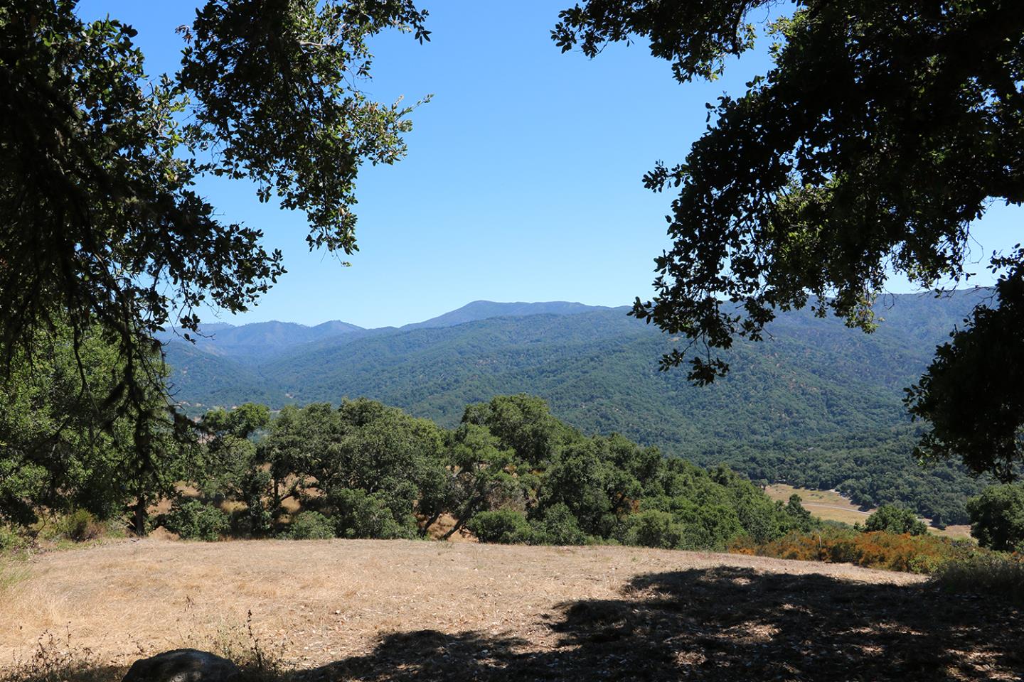 57 Chamisal Pass, CARMEL, California 93923, ,Lots And Land,For Sale,Chamisal Pass,40963158