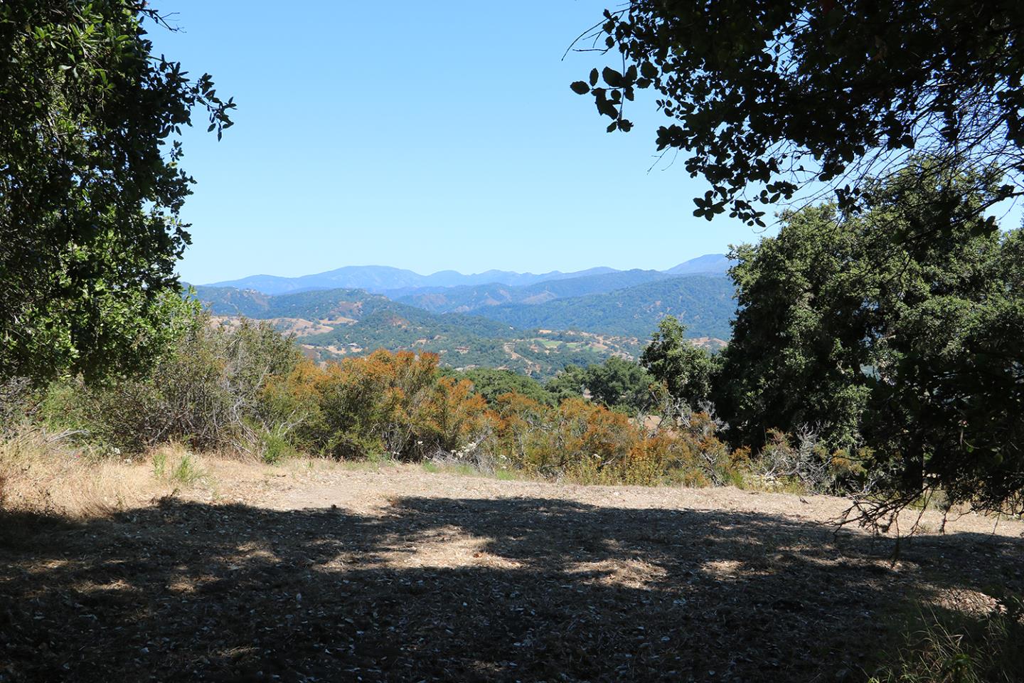 57 Chamisal Pass, CARMEL, California 93923, ,Lots And Land,For Sale,Chamisal Pass,40963158