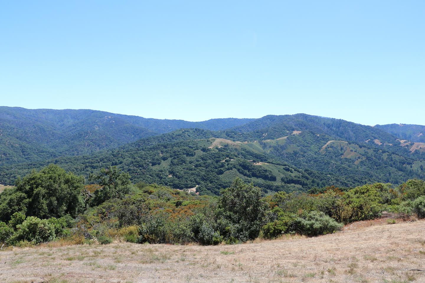 57 Chamisal Pass, CARMEL, California 93923, ,Lots And Land,For Sale,Chamisal Pass,40963158