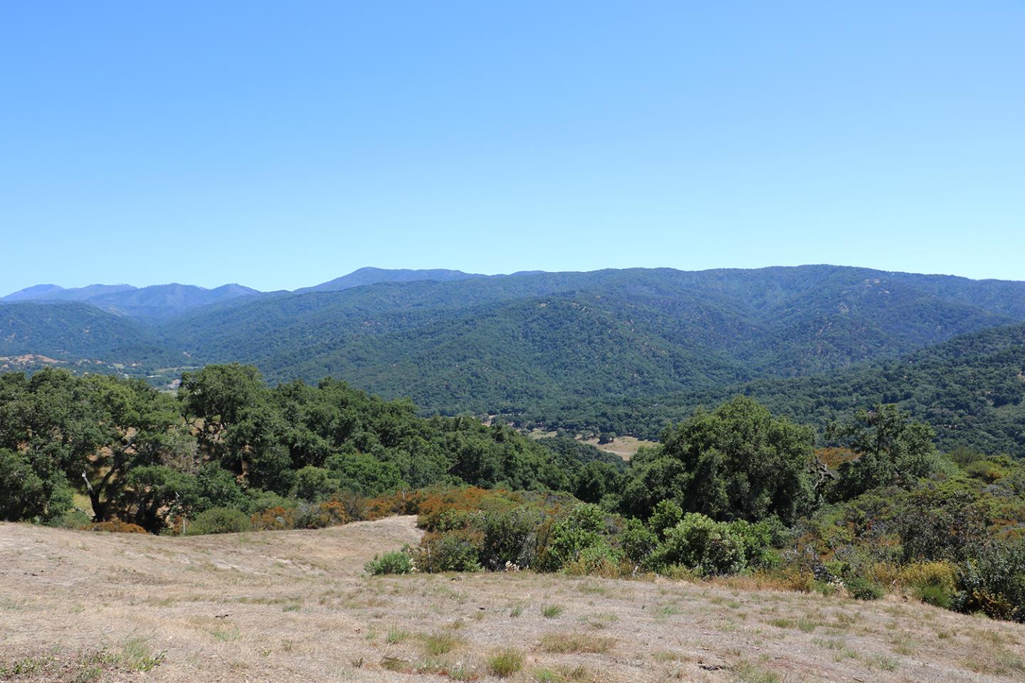 57 Chamisal Pass, CARMEL, California 93923, ,Lots And Land,For Sale,Chamisal Pass,40963158