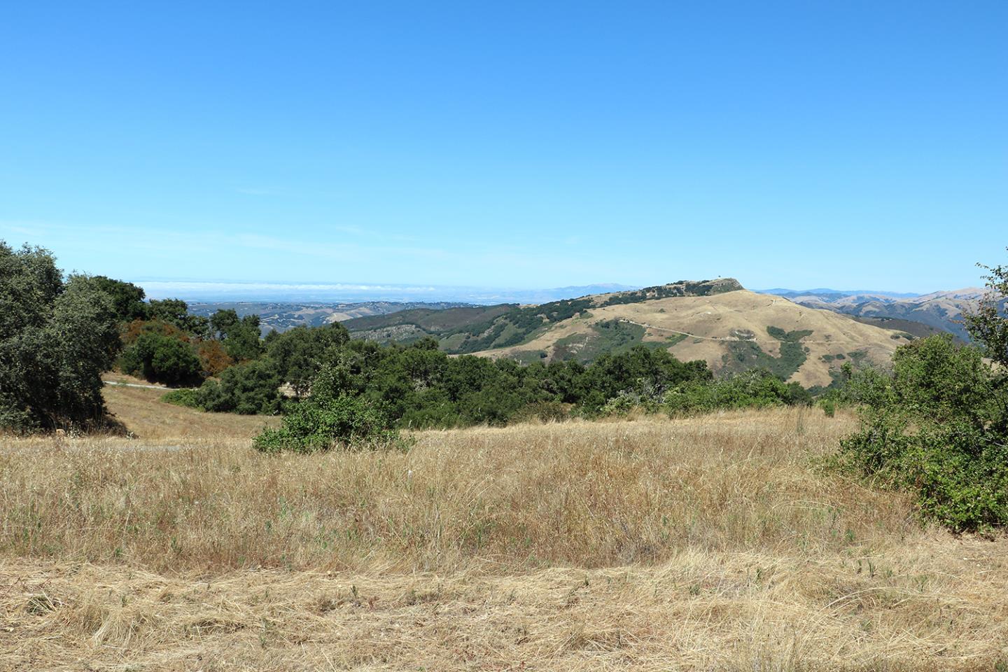 57 Chamisal Pass, CARMEL, California 93923, ,Lots And Land,For Sale,Chamisal Pass,40963158