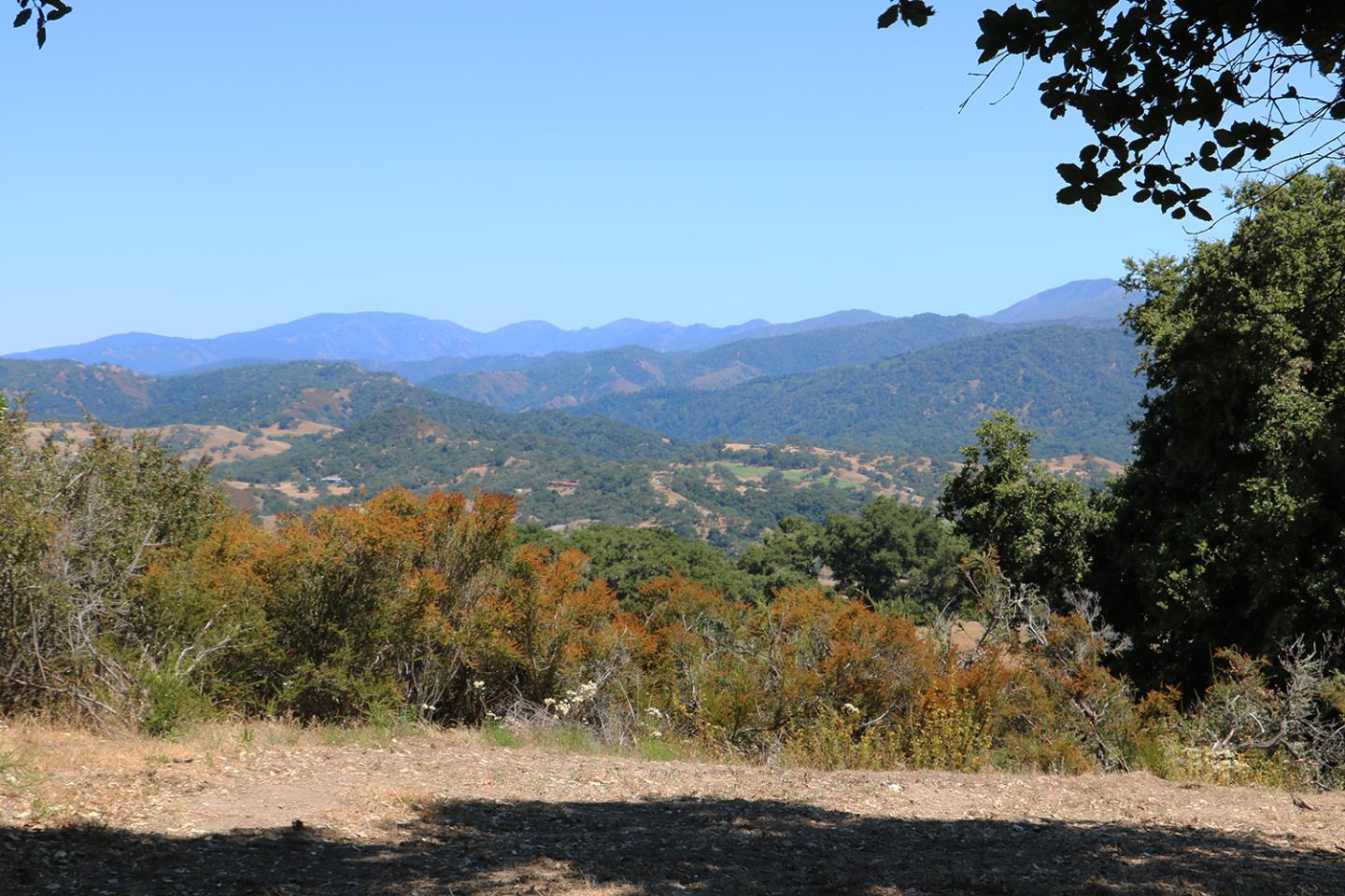 57 Chamisal Pass, CARMEL, California 93923, ,Lots And Land,For Sale,Chamisal Pass,40963158