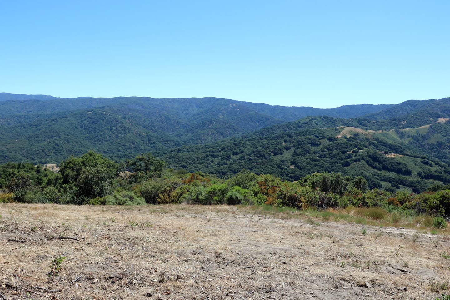 57 Chamisal Pass, CARMEL, California 93923, ,Lots And Land,For Sale,Chamisal Pass,40963158