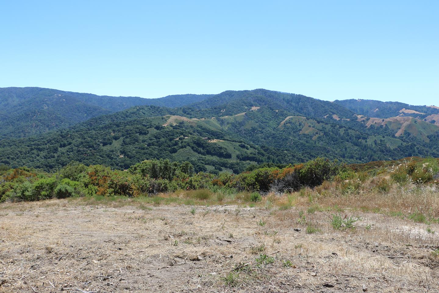 57 Chamisal Pass, CARMEL, California 93923, ,Lots And Land,For Sale,Chamisal Pass,40963158