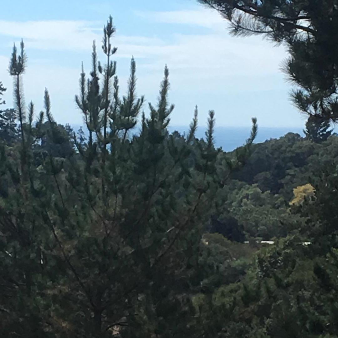 1404 Larkin Valley Road, WATSONVILLE, California 95076, ,Lots And Land,For Sale,Larkin Valley Road,40963801