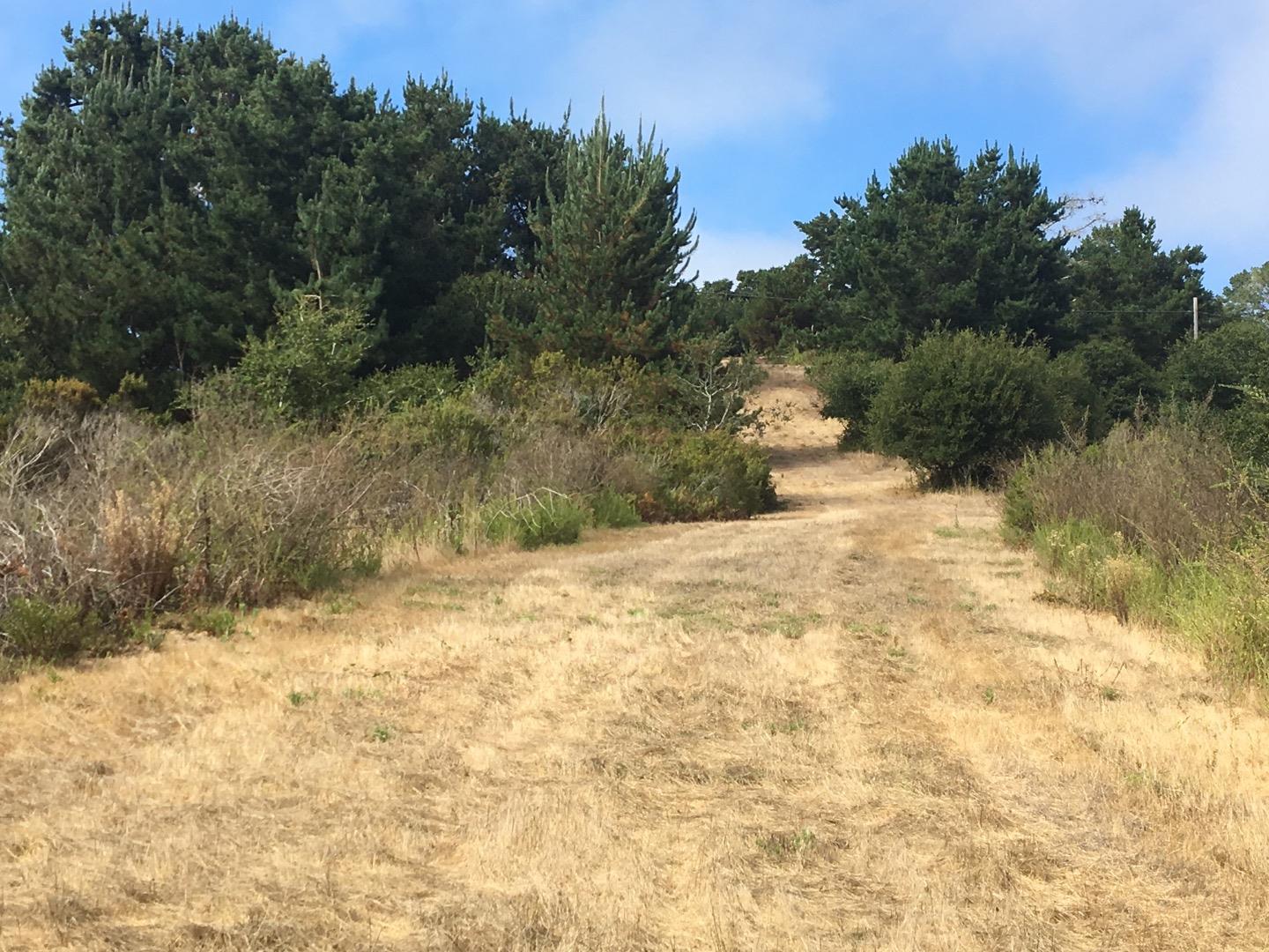 1404 Larkin Valley Road, WATSONVILLE, California 95076, ,Lots And Land,For Sale,Larkin Valley Road,40963801