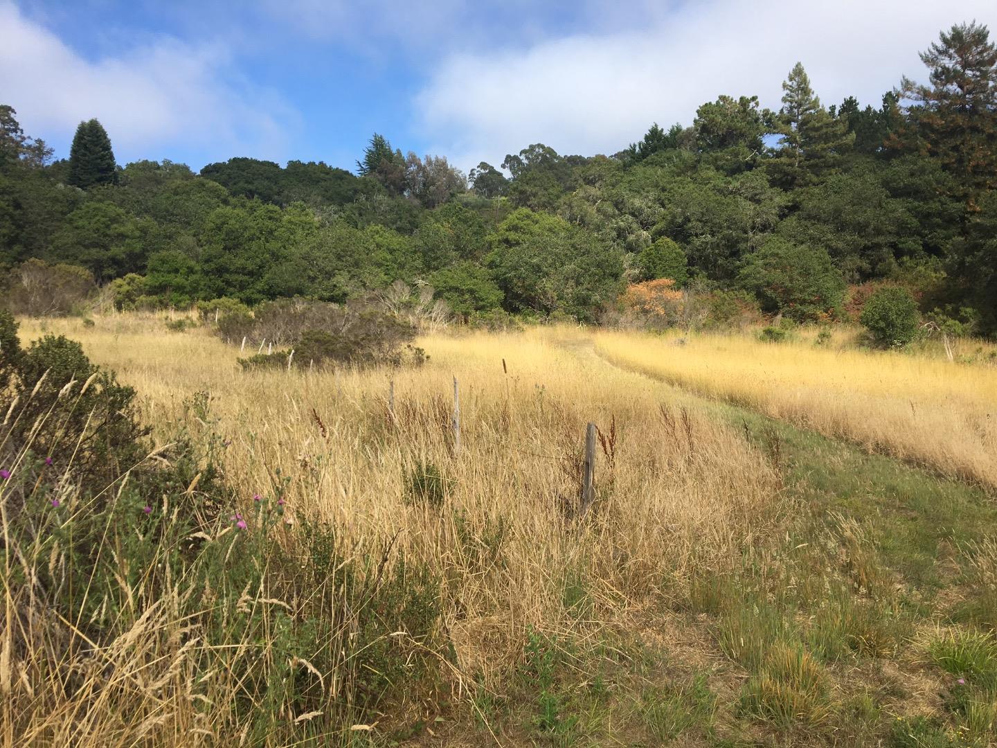 1404 Larkin Valley Road, WATSONVILLE, California 95076, ,Lots And Land,For Sale,Larkin Valley Road,40963801