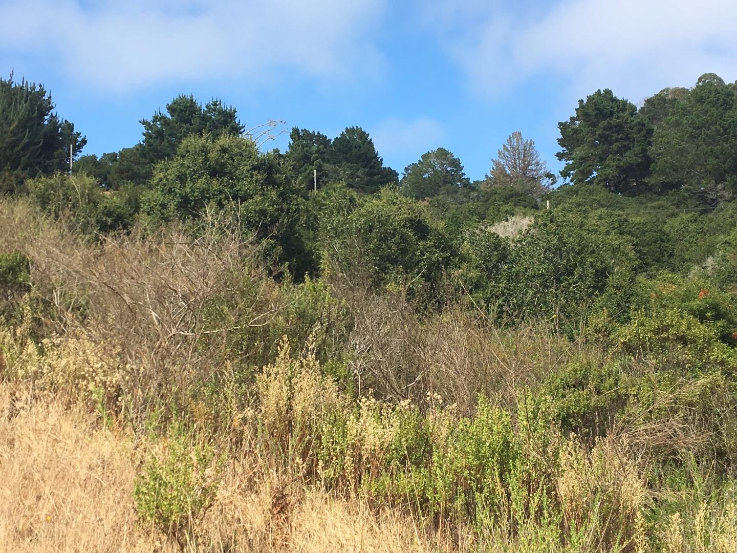 1404 Larkin Valley Road, WATSONVILLE, California 95076, ,Lots And Land,For Sale,Larkin Valley Road,40963801