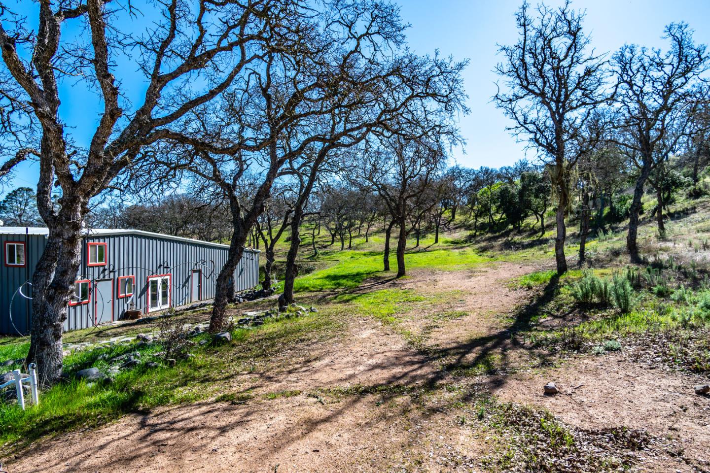 11736 Cienega Road, HOLLISTER, California 95023, ,Comm Industrial For Sale,For Sale,Cienega Road,40963665