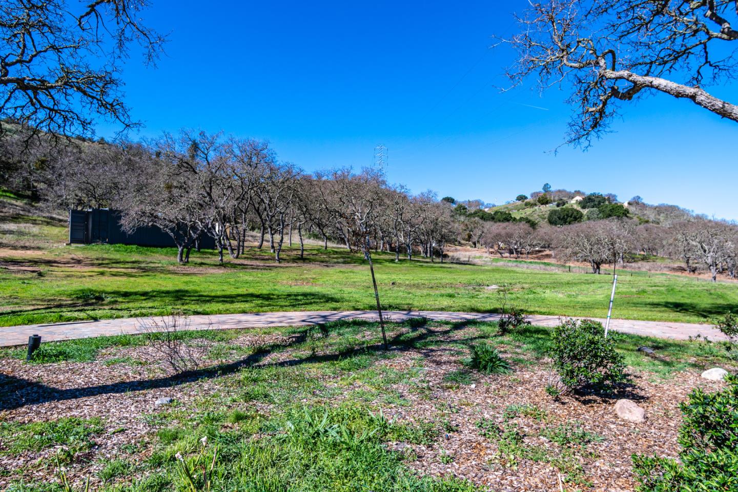 11736 Cienega Road, HOLLISTER, California 95023, ,Comm Industrial For Sale,For Sale,Cienega Road,40963665