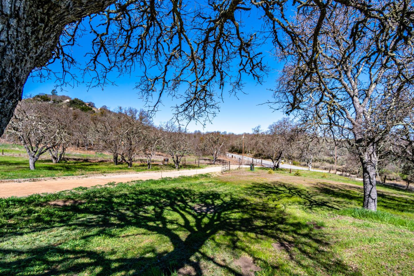 11736 Cienega Road, HOLLISTER, California 95023, ,Comm Industrial For Sale,For Sale,Cienega Road,40963665