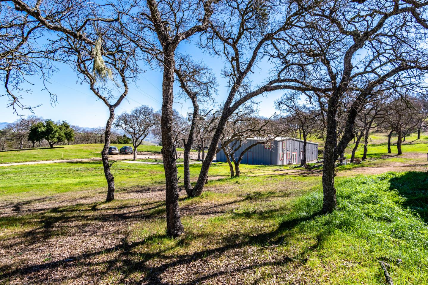 11736 Cienega Road, HOLLISTER, California 95023, ,Comm Industrial For Sale,For Sale,Cienega Road,40963665