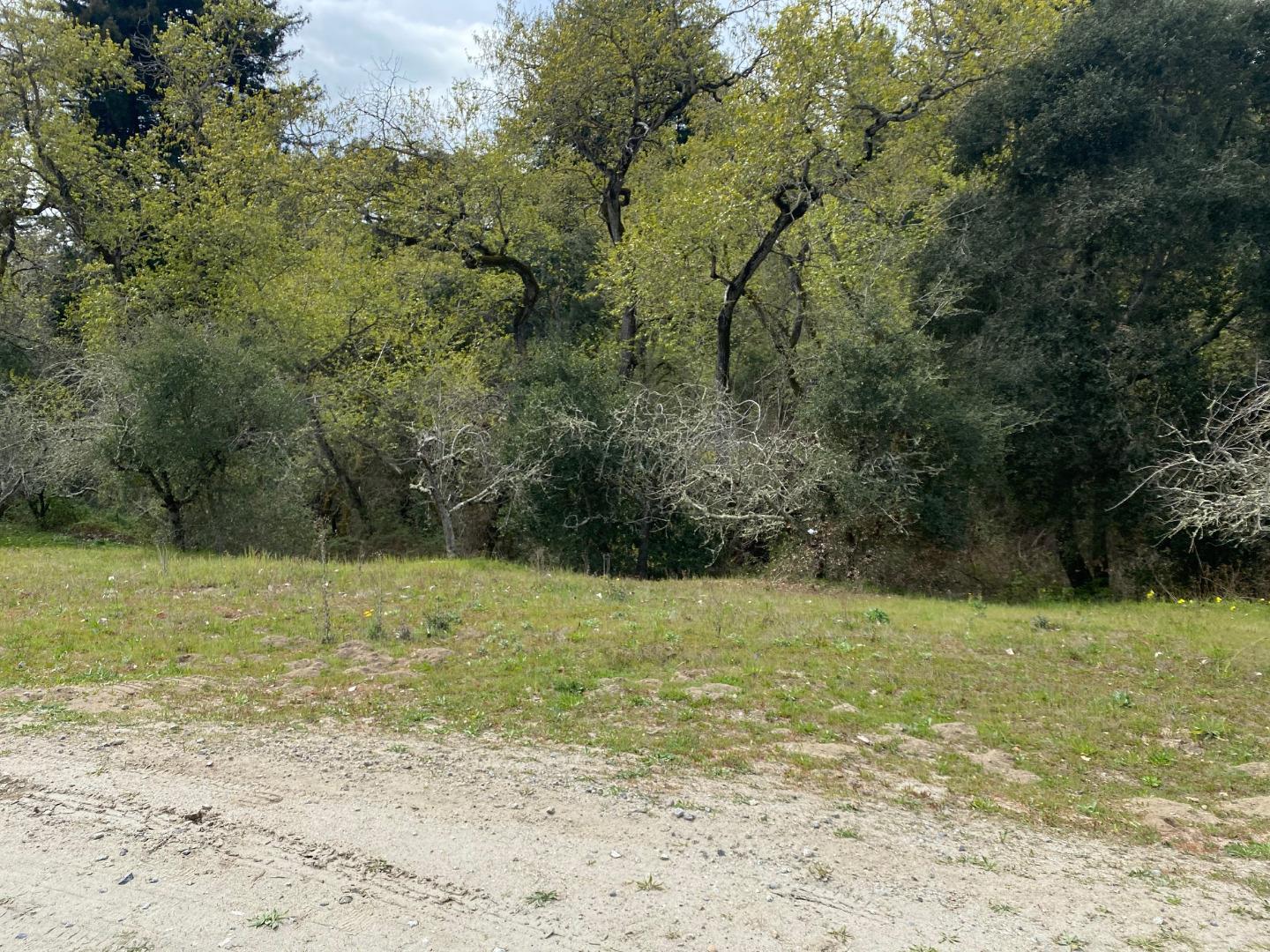 500 Travers Lane, WATSONVILLE, California 95076, ,Lots And Land,For Sale,Travers Lane,40962278