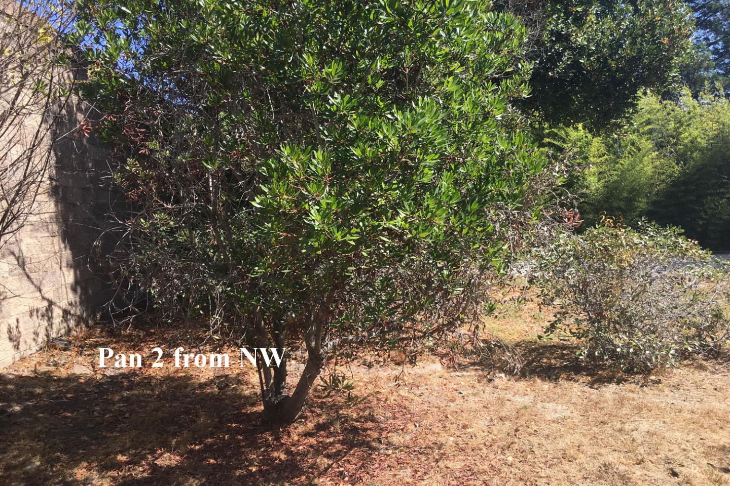 211 Fairmount Avenue, SANTA CRUZ, California 95062, ,Lots And Land,For Sale,Fairmount Avenue,40962140