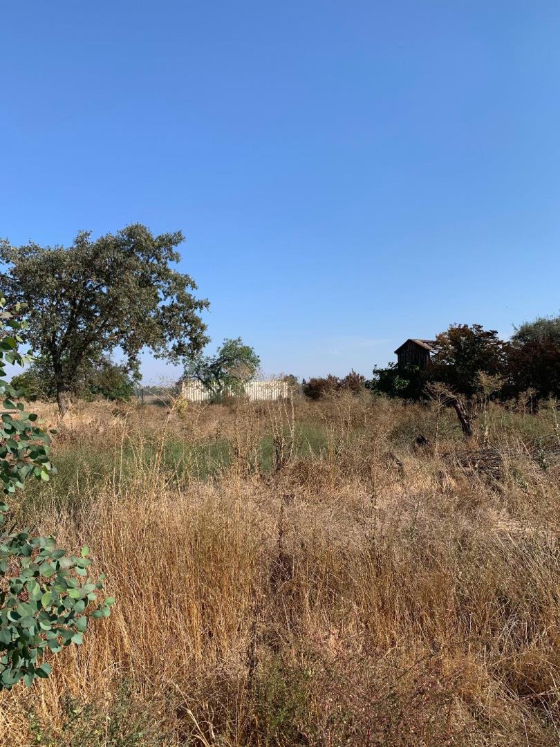 12250 Lower Sacramento Road, LODI, California 95242, ,Comm Lots And Land,For Sale,Lower Sacramento Road,40962065