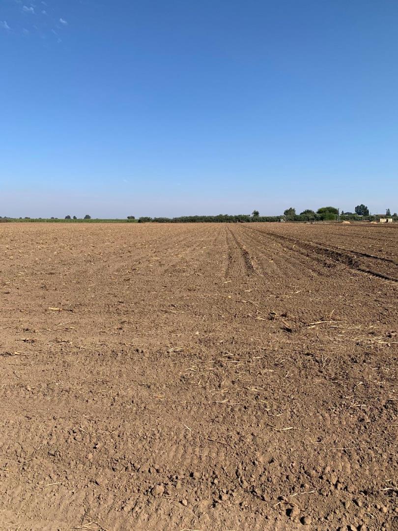 12250 Lower Sacramento Road, LODI, California 95242, ,Comm Lots And Land,For Sale,Lower Sacramento Road,40962065