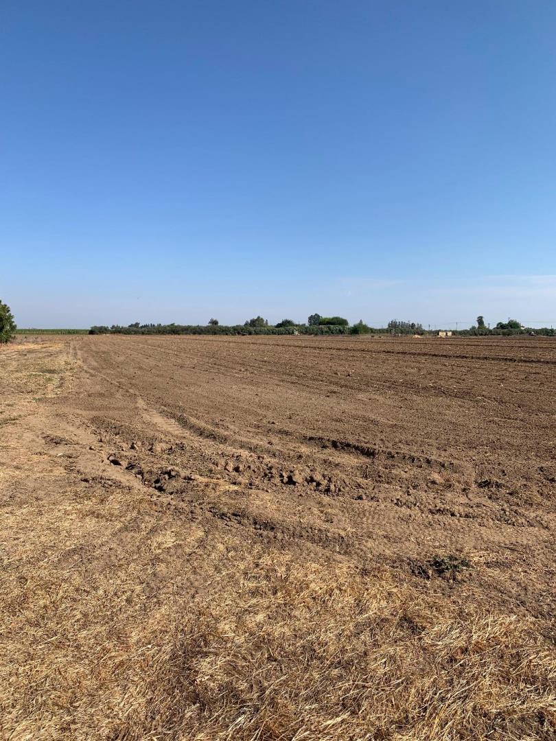 12250 Lower Sacramento Road, LODI, California 95242, ,Comm Lots And Land,For Sale,Lower Sacramento Road,40962065