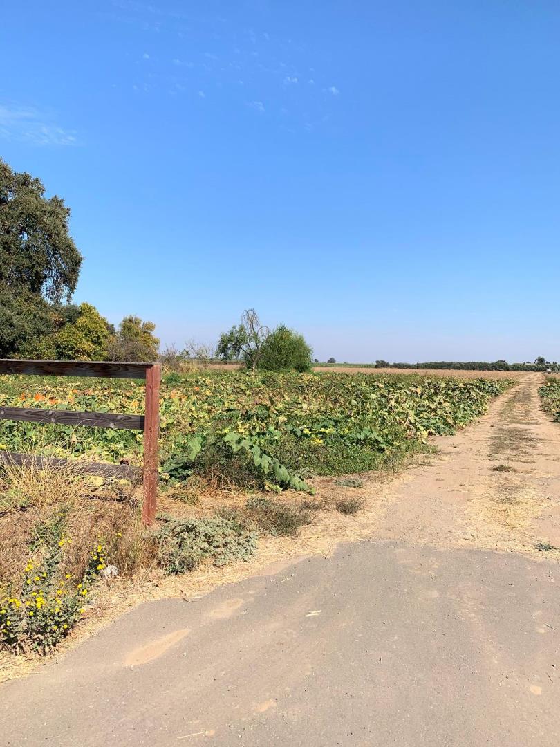 12250 Lower Sacramento Road, LODI, California 95242, ,Comm Lots And Land,For Sale,Lower Sacramento Road,40962065