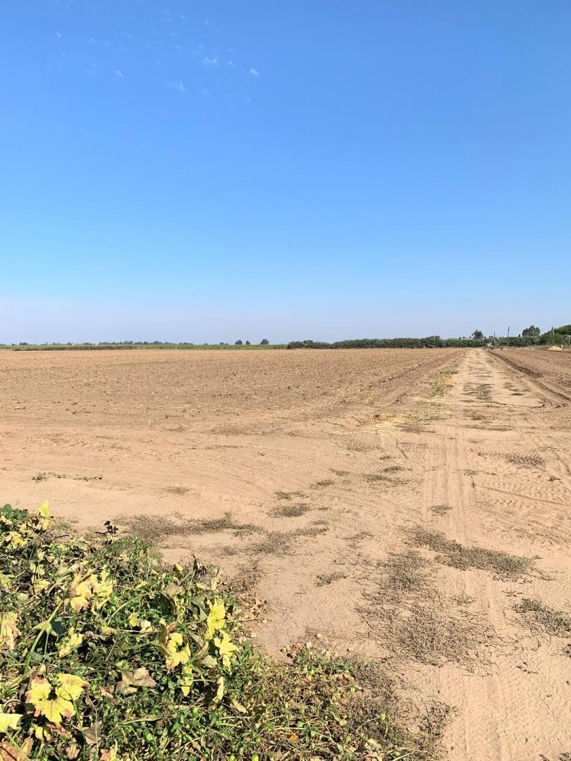 12250 Lower Sacramento Road, LODI, California 95242, ,Comm Lots And Land,For Sale,Lower Sacramento Road,40962065