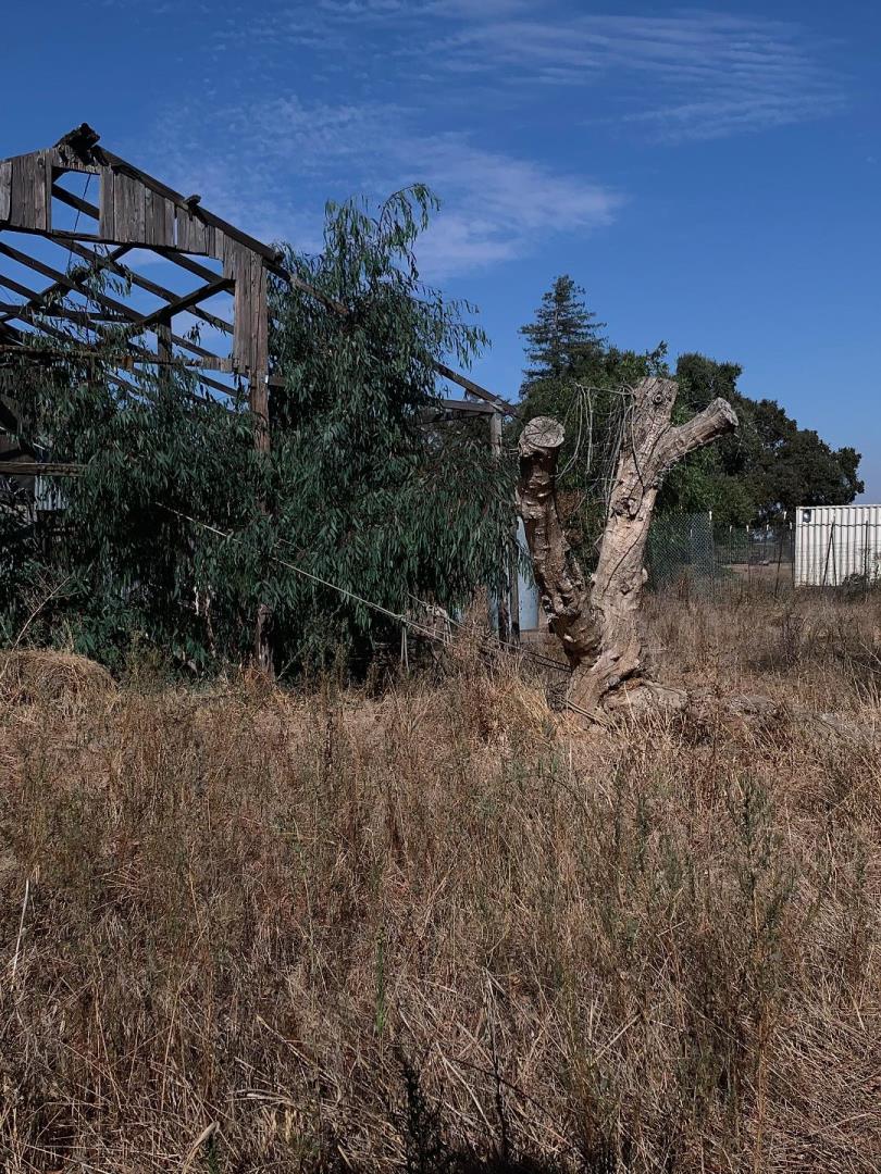 12250 Lower Sacramento Road, LODI, California 95242, ,Comm Lots And Land,For Sale,Lower Sacramento Road,40962065