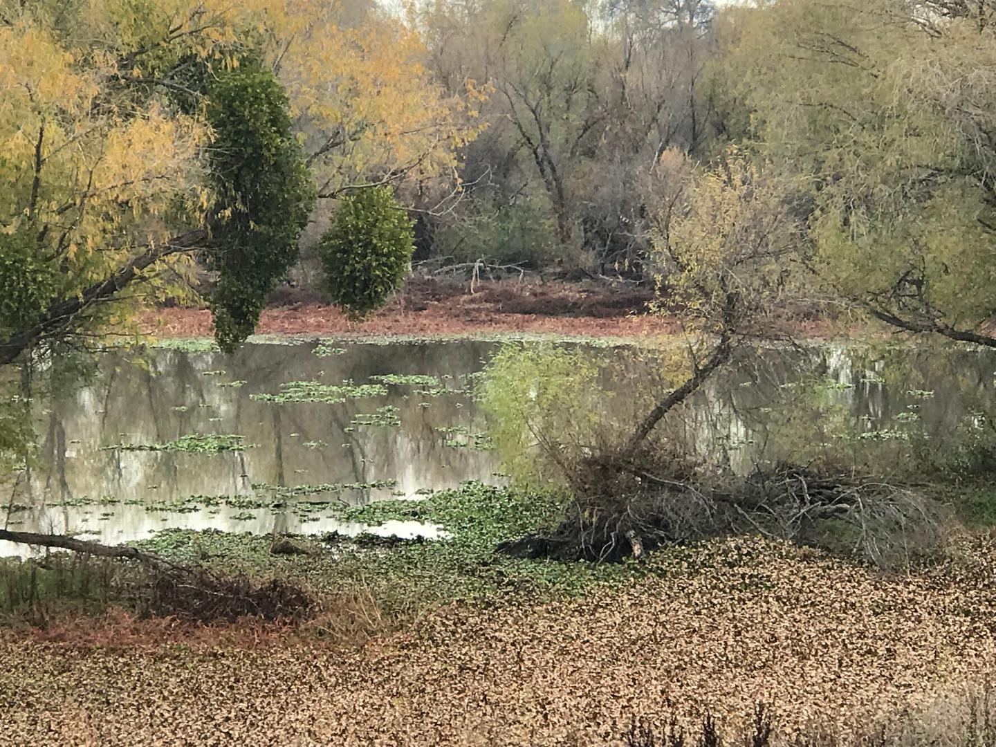 16642 Hickory Avenue, PATTERSON, California 95363, ,Comm Lots And Land,For Sale,Hickory Avenue,40961701