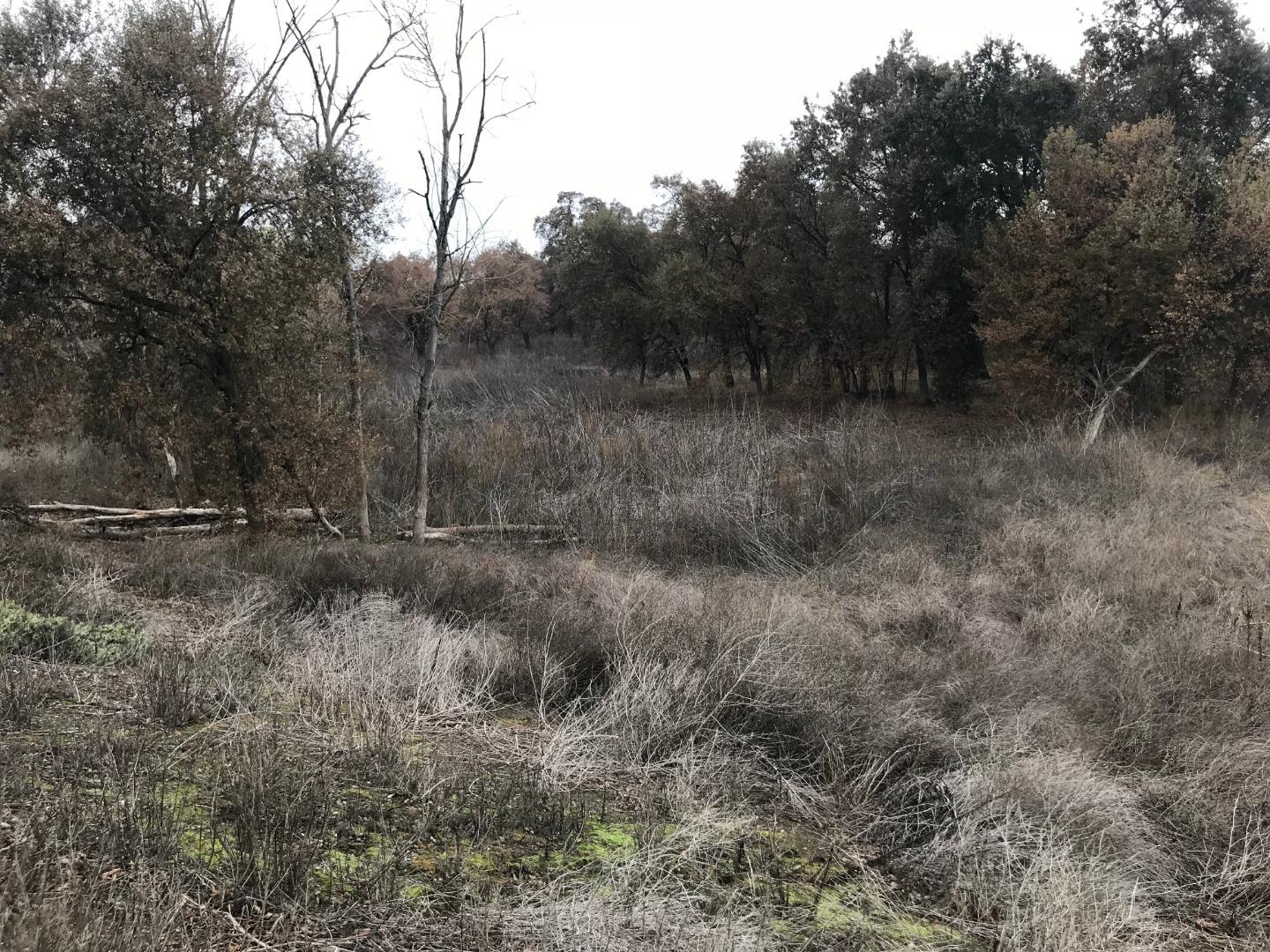 16642 Hickory Avenue, PATTERSON, California 95363, ,Comm Lots And Land,For Sale,Hickory Avenue,40961701