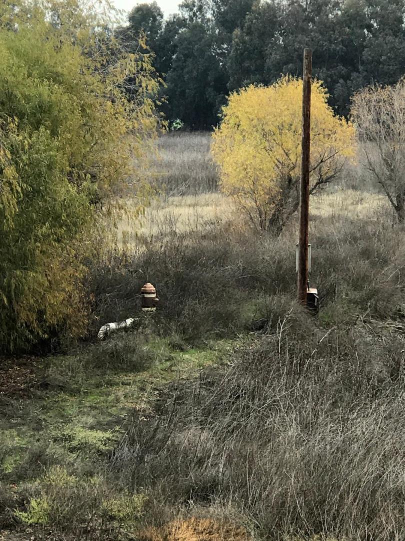 16642 Hickory Avenue, PATTERSON, California 95363, ,Comm Lots And Land,For Sale,Hickory Avenue,40961701