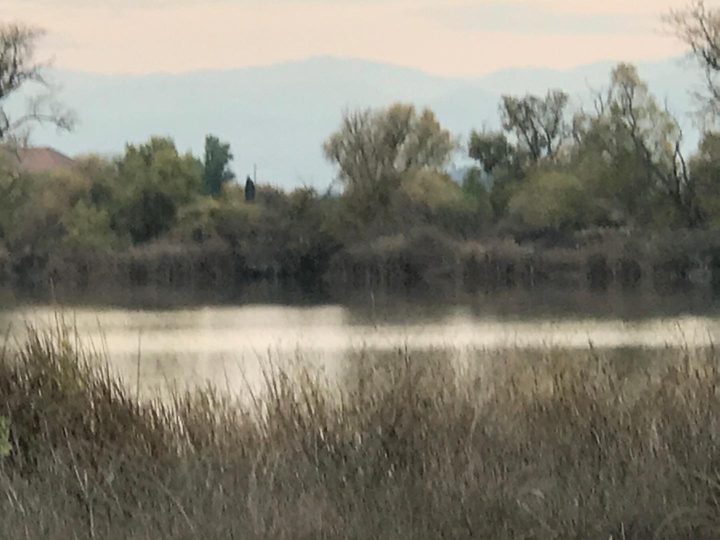 16642 Hickory Avenue, PATTERSON, California 95363, ,Comm Lots And Land,For Sale,Hickory Avenue,40961701