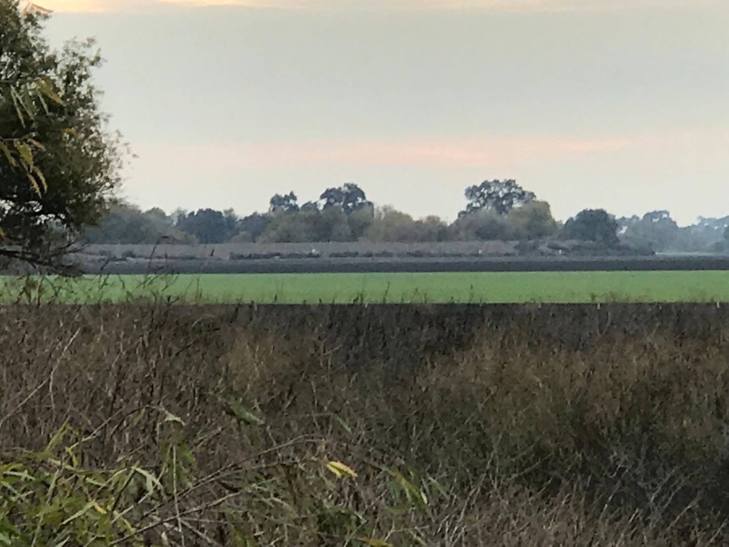 16642 Hickory Avenue, PATTERSON, California 95363, ,Comm Lots And Land,For Sale,Hickory Avenue,40961701