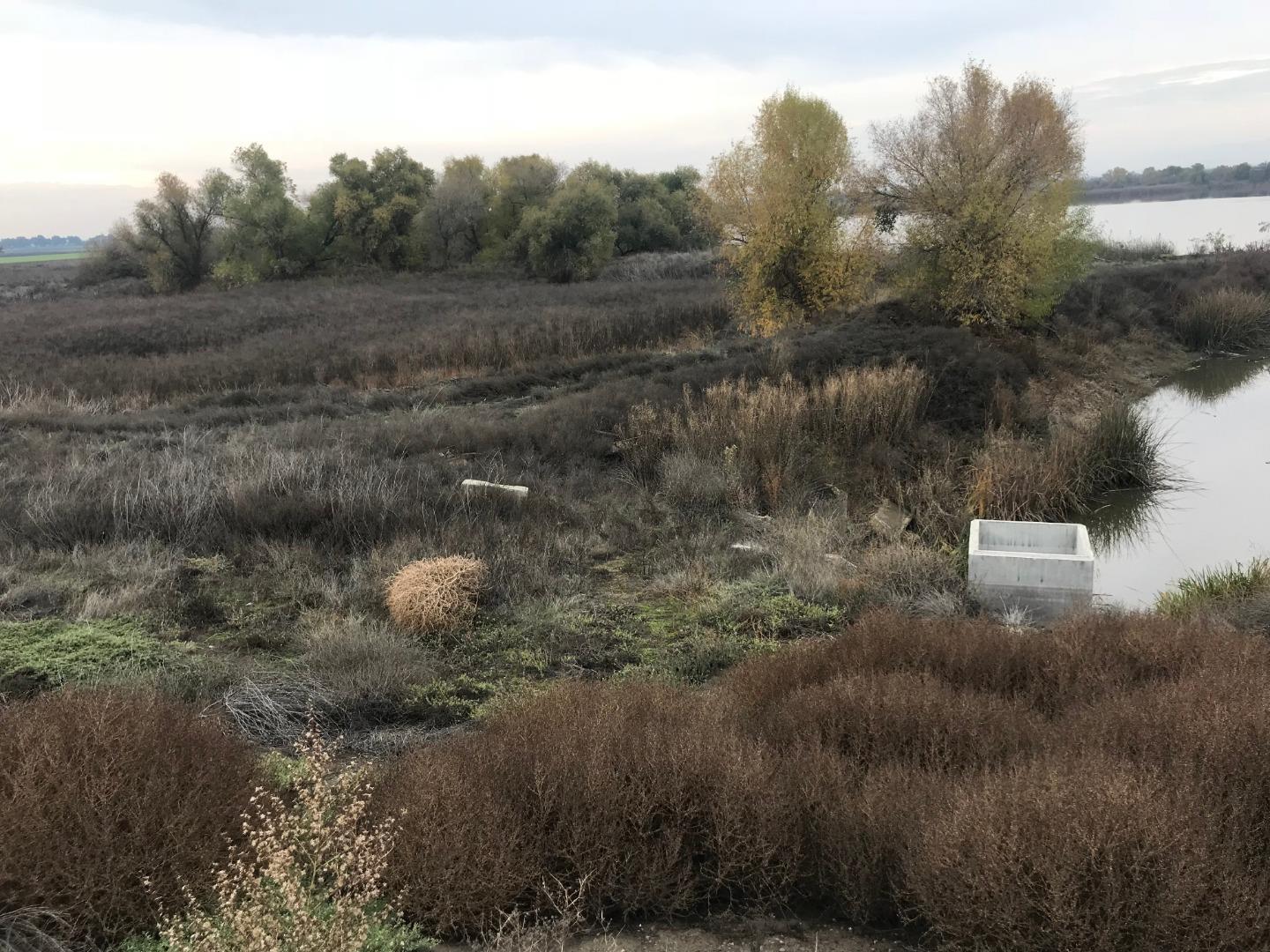 16642 Hickory Avenue, PATTERSON, California 95363, ,Comm Lots And Land,For Sale,Hickory Avenue,40961701