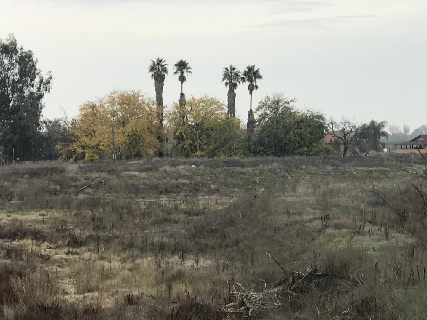 16642 Hickory Avenue, PATTERSON, California 95363, ,Comm Lots And Land,For Sale,Hickory Avenue,40961701