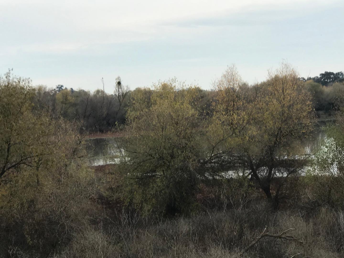 16642 Hickory Avenue, PATTERSON, California 95363, ,Comm Lots And Land,For Sale,Hickory Avenue,40961701