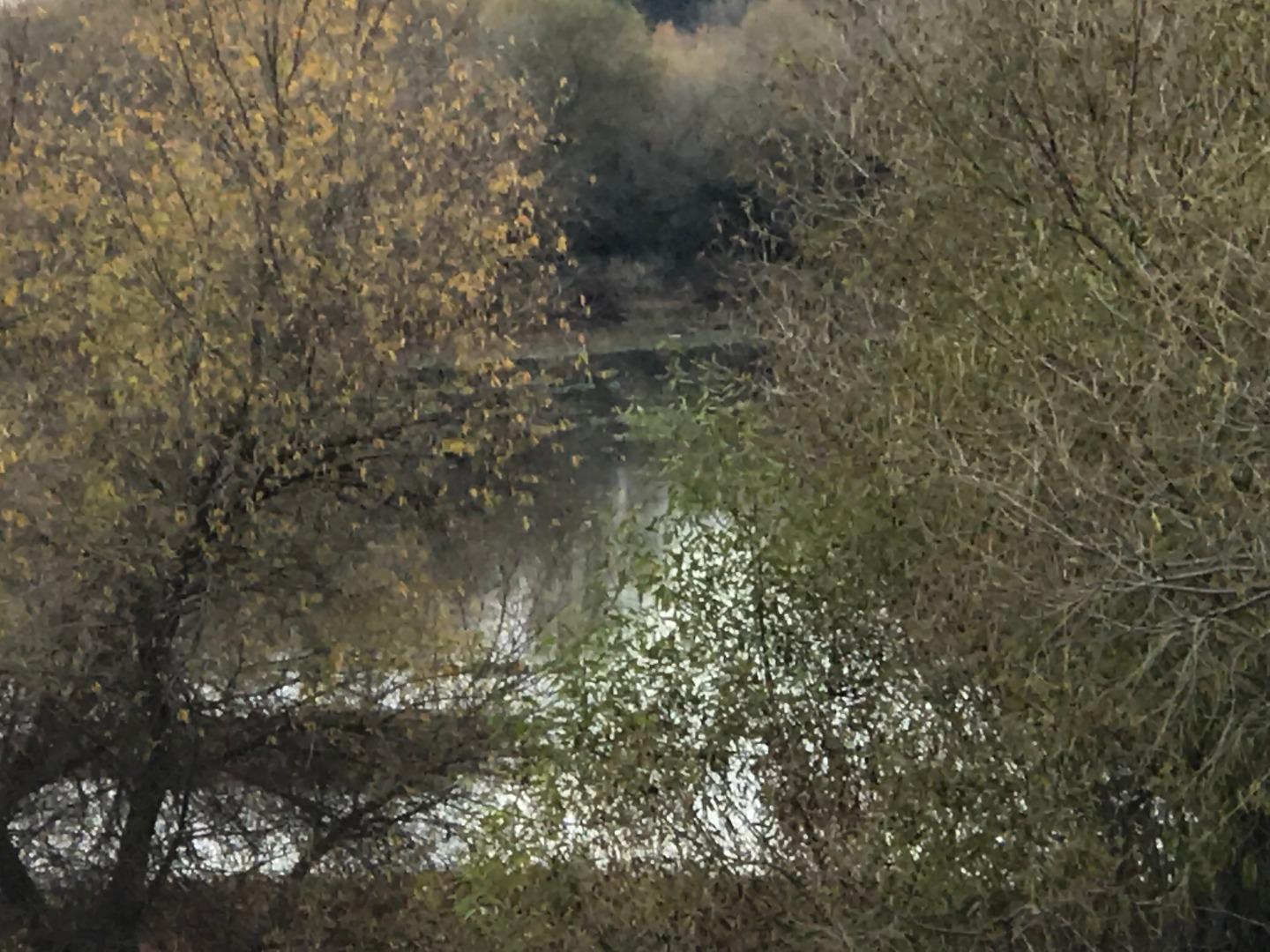 16642 Hickory Avenue, PATTERSON, California 95363, ,Comm Lots And Land,For Sale,Hickory Avenue,40961701