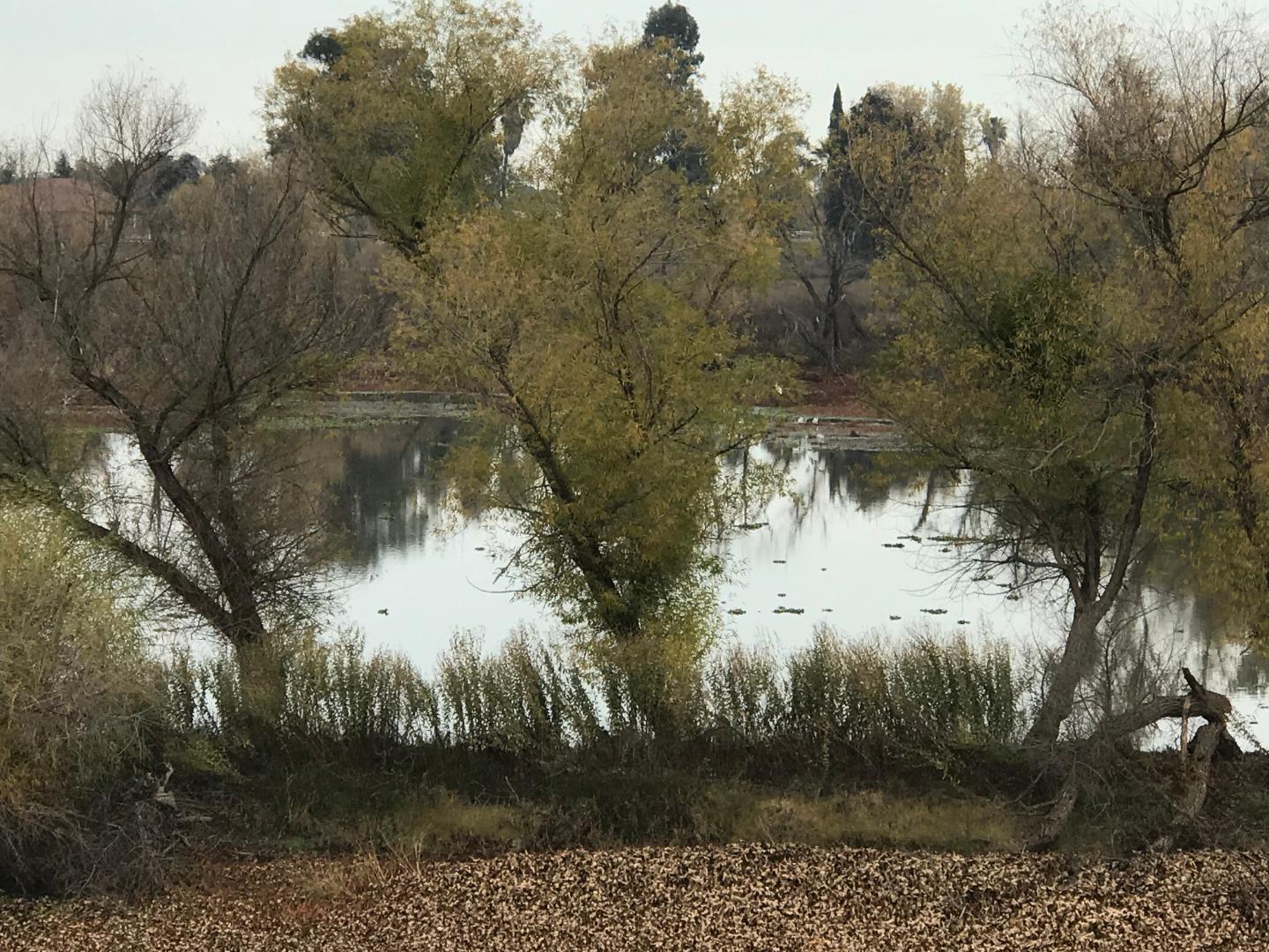 16642 Hickory Avenue, PATTERSON, California 95363, ,Comm Lots And Land,For Sale,Hickory Avenue,40961701