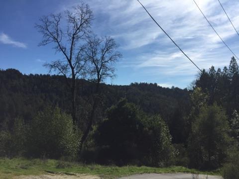 0 Zayante Drive, FELTON, California 95018, ,Lots And Land,For Sale,Zayante Drive,40963388