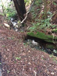 0 Zayante Drive, FELTON, California 95018, ,Lots And Land,For Sale,Zayante Drive,40963388