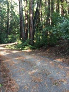 0 Zayante Drive, FELTON, California 95018, ,Lots And Land,For Sale,Zayante Drive,40963388