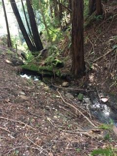 0 Zayante Drive, FELTON, California 95018, ,Lots And Land,For Sale,Zayante Drive,40963388