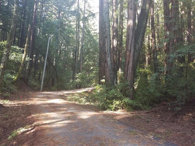 0 Zayante Drive, FELTON, California 95018, ,Lots And Land,For Sale,Zayante Drive,40963388