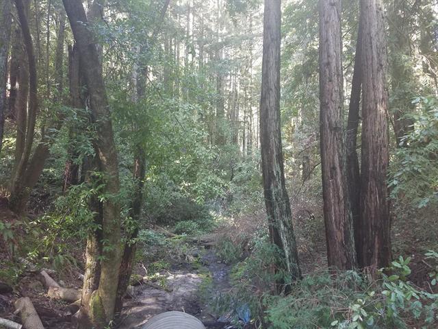 0 Zayante Drive, FELTON, California 95018, ,Lots And Land,For Sale,Zayante Drive,40963388