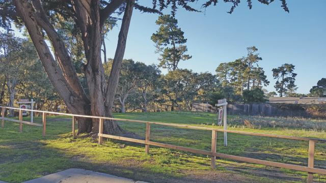 1334 Shafter Avenue, PACIFIC GROVE, California 93950, ,Lots And Land,For Sale,Shafter Avenue,40971930