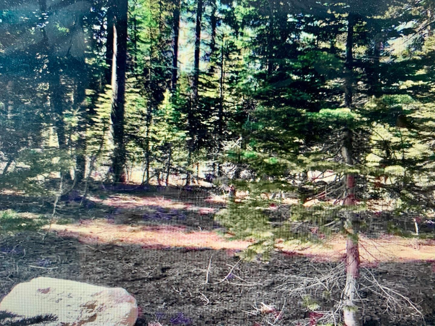 5208 Palisade Road, TRUCKEE, California 96161, ,Lots And Land,For Sale,Palisade Road,40967395