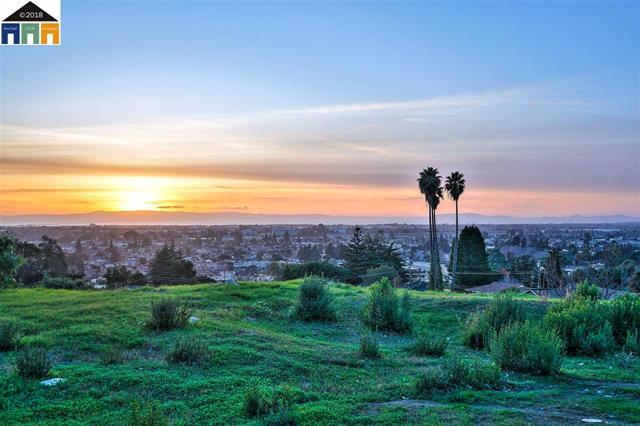 1198 Overlook Avenue, HAYWARD, California 94542, ,Lots And Land,For Sale,Overlook Avenue,40967396