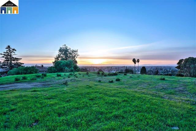 1198 Overlook Avenue, HAYWARD, California 94542, ,Lots And Land,For Sale,Overlook Avenue,40967396